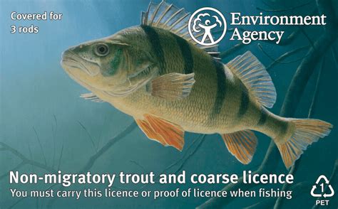 A Guide to Purchasing & Renewing Fishing Licence .